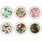 1 Box/Set Laser Snowflake Star Christmas Tree Sequin Nail Polish Winter Christmas Theme Nail Decal Boxed Decoration Set