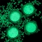 1 box Luminous Nail Sequins 3D Luminous Art Sequin Luminous Butterfly Round Geometric Paillette Fluorescent Film