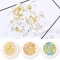 1 box of nail art rhinestones shaped shell stones, opal 3D nail stickers with gilt line inlaid