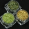 12 Color Laser Glitter Nail Powder, Acrylic Pigment Powder for UV Nail Art Polymer