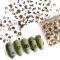 30pcs Nail Art Sticker Gold Silver 3D Hollow Decals Mixed Adhesive Flower Nail Tips Letter Butterfly paper Nail
