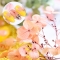 50 pcs Fall Dried Flower Leaf Nail Art Decoration Gradient Natural Flower Applique DIY