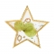 Butterfly Shape Crystal Shell Color Palette Phnom Penh Resin Nail Color Palette