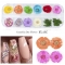 Eternal Life flower mixed Rhinestone nail UV gel polish butterfly Nail polish glitter Stickers