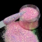 Holographic Laser Photochromic Nail Polish Glitter Powder Sequin Acrylic Paint Powder