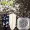 CB01-08_CB02