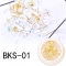BKS01-06_BKS-01