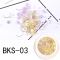 BKS01-06_BKS-03