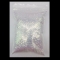 XC-UV_50g-244