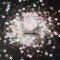 XH01_XH-09