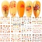 BN1345-1356_BN361-372-12PCS