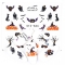 Water Sticker Halloween nail stickers Pumpkin Bat Skull Black Cat Sticker